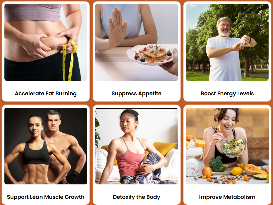 SodaSlim benefits: fat burning, appetite, energy, muscle, detox, metabolism